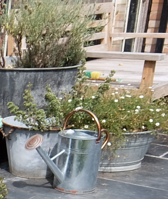 Galanised pots on the terrace